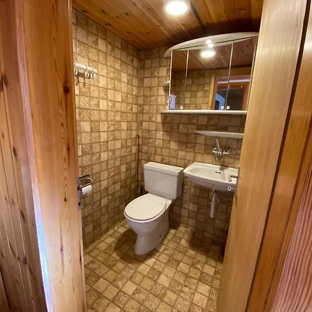 Ideal For Hiking Biking Swimming Or Relaxing * Schmitten (Grisons)