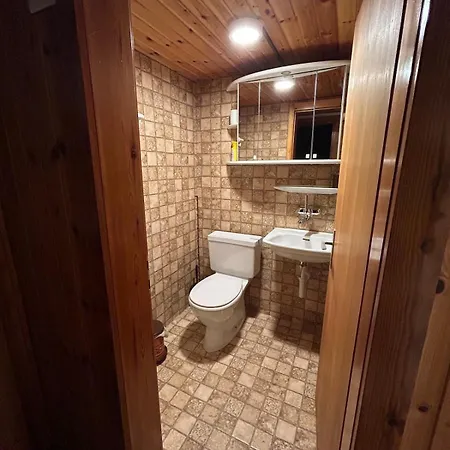 Ideal For Hiking Biking Swimming Or Relaxing Apartamento Schmitten (Grisons)