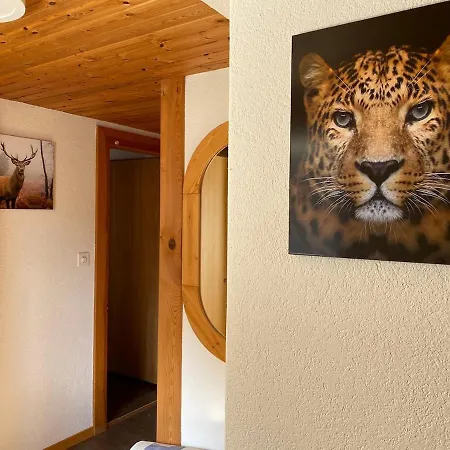 Ideal For Hiking Biking Swimming Or Relaxing Apartman Schmitten