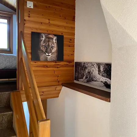 Ideal For Hiking Biking Swimming Or Relaxing Apartamento *