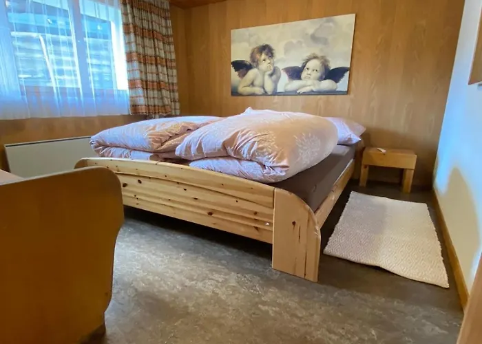 Apartman Ideal For Hiking Biking Swimming Or Relaxing Schmitten