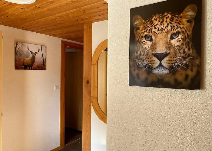 Ideal For Hiking Biking Swimming Or Relaxing Apartman Schmitten