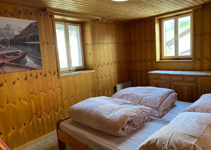 Ideal For Hiking Biking Swimming Or Relaxing Apartman Schmitten