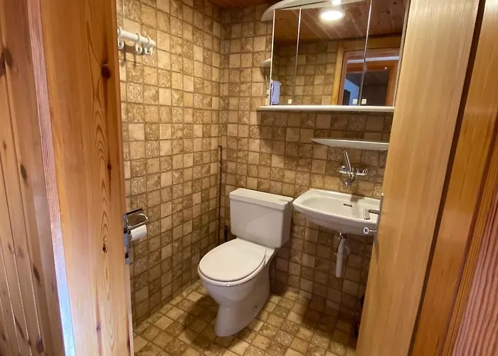 Ideal For Hiking Biking Swimming Or Relaxing * Schmitten (Grisons)